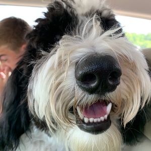 Meet your Posher, Diane